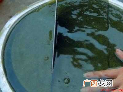 斑鸠叶豆腐制作方法