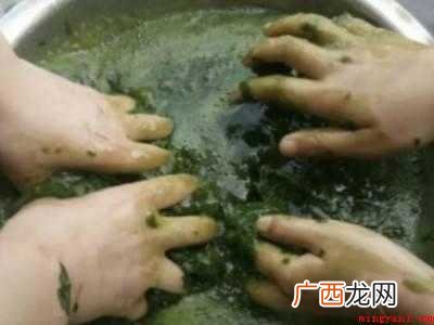 斑鸠叶豆腐制作方法