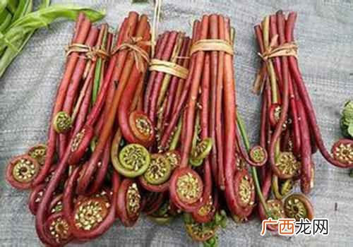 蕨菜的做法家常菜 蕨菜的功效与作用