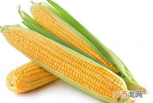 大肠湿热吃什么食物好得快 大肠湿热吃什么食物好