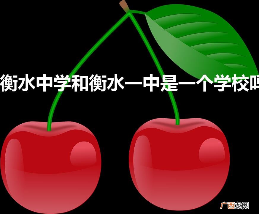 衡水中学和衡水一中是一个学校吗（衡水中学和一中区别)
