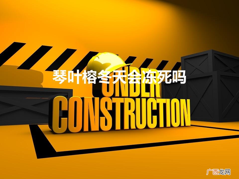 琴叶榕冬天会冻死吗（琴叶榕冬天长叶子吗)