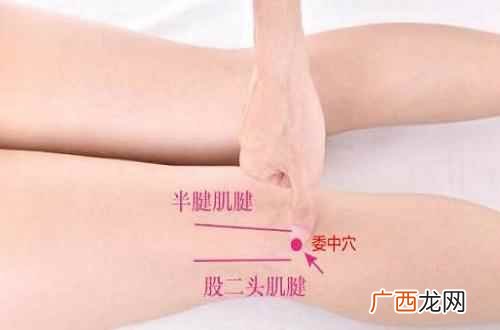 委中的准确位置图和作用是 委中的准确位置图和作用
