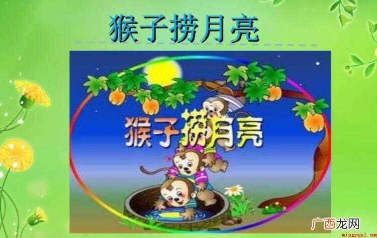 猴子捞月亮的故事寓意是什么 《猴子捞月亮》的故事寓意是什么