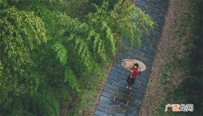 梦见下大雨到处都淹了