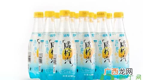 盐汽水是碳酸饮料吗有害吗 盐汽水是碳酸饮料吗