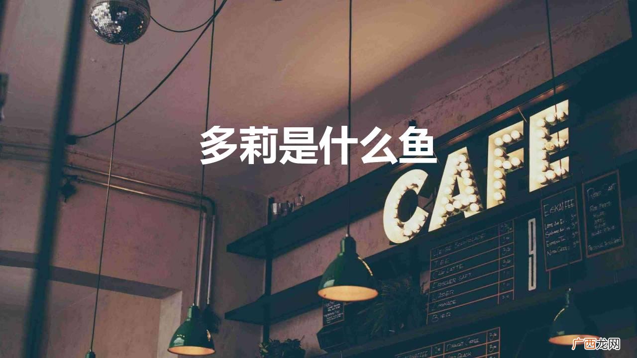 多莉鱼介绍 多莉是什么鱼