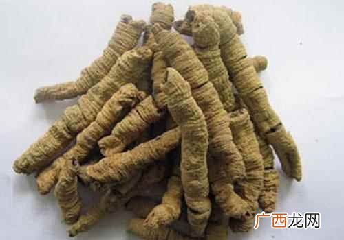 巴戟天的功效与作用及禁忌症有 巴戟天的功效与作用及禁忌症