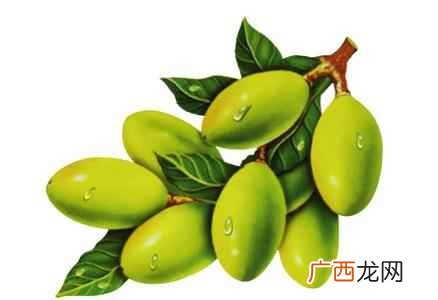 橄榄油去角质面膜有哪些 去角质面膜,如何自制去角质面膜