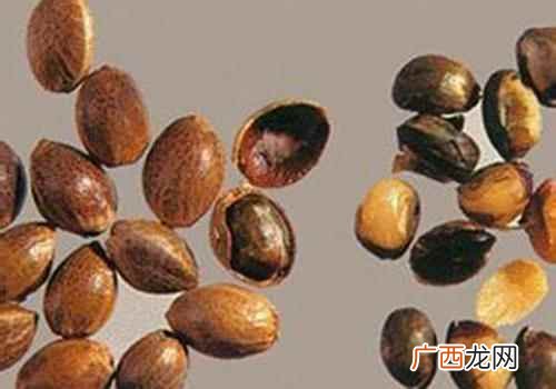 火麻仁的功效与作用图 火麻仁的功效与作用