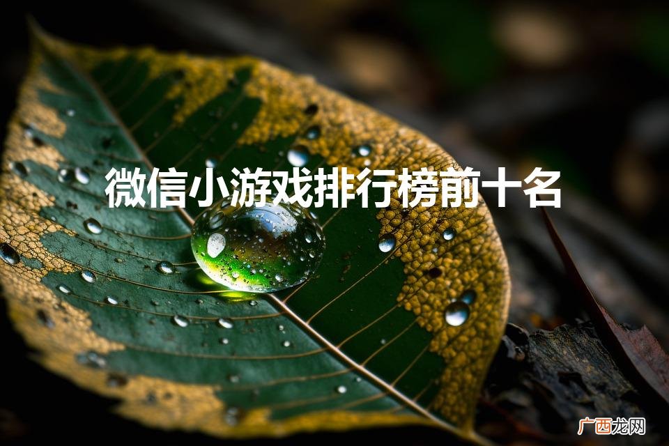 微信小游戏排行榜前十名（微信小游戏排行榜前十名枪战)