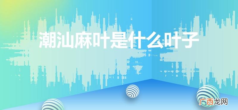 潮汕麻叶是桑叶吗 潮汕麻叶是什么叶子
