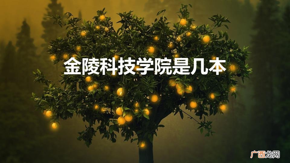 金陵科技学院是几本是公办还是民办 金陵科技学院是几本