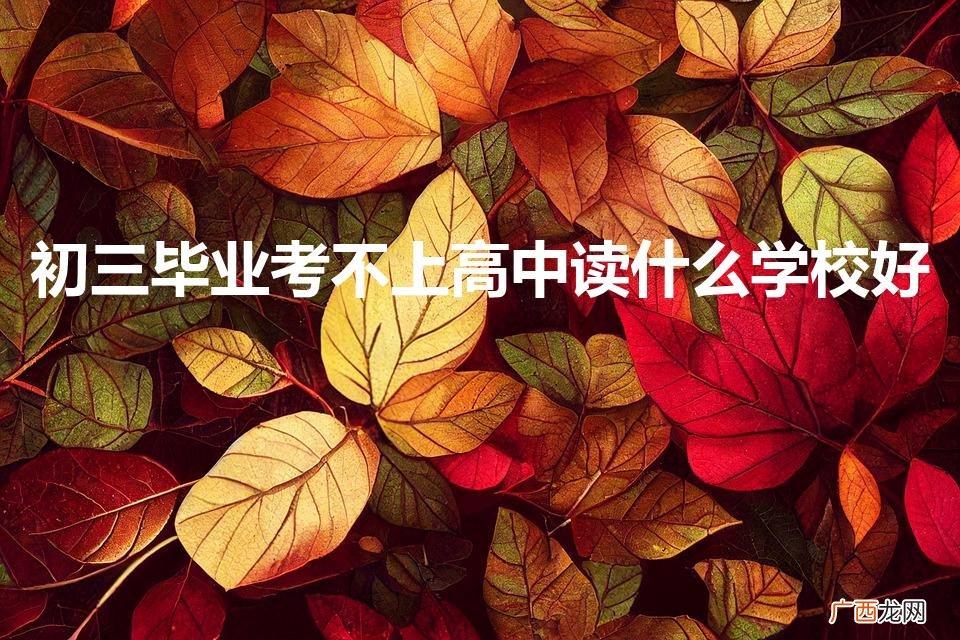 初三毕业考不上高中读什么学校好