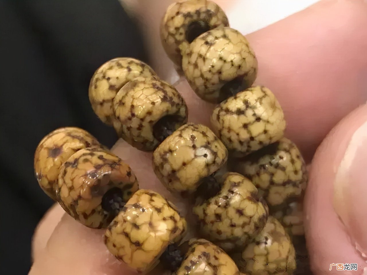 新入手的星月菩提怎么盘 盘了八十年的星月菩提