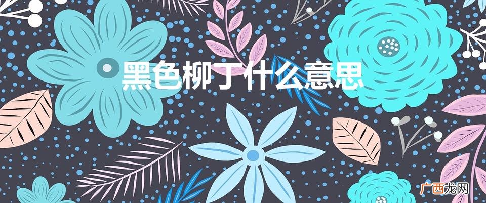黑色的柳丁是什么意思 黑色柳丁什么意思