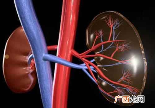 肾功能衰竭早期症状怎么办 肾功能衰竭早期症状