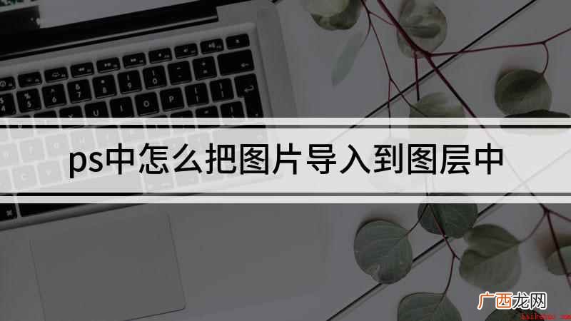 ps中怎么把图片导入到图层中