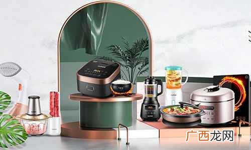 浙江苏泊尔股份有限公司 苏泊尔是哪个国家的品牌