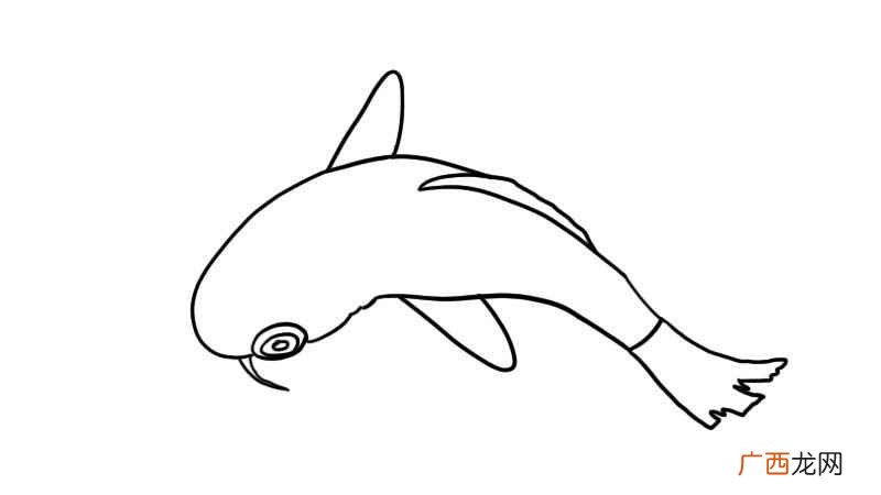 锦鲤简笔画古风 锦鲤简笔画
