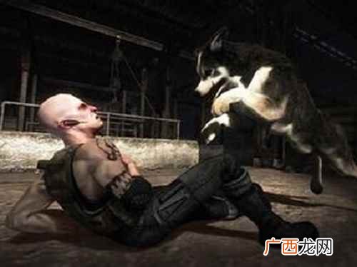 梦见牵着狼狗散步梦中狗的不同表现具有不同的象征意义 梦见被狗咬,梦见狗