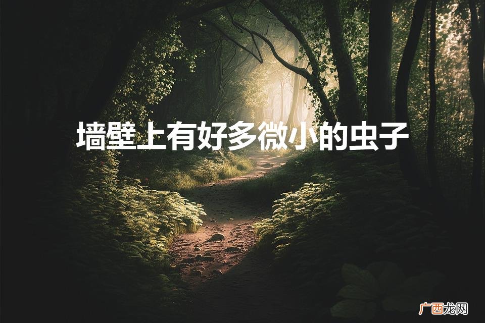 墙上有很多小小的虫子怎么处理 墙壁上有好多微小的虫子怎么办