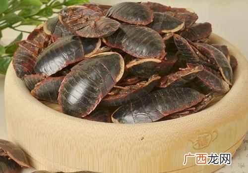 土鳖虫的作用与禁忌是什么 土鳖虫的作用与药效