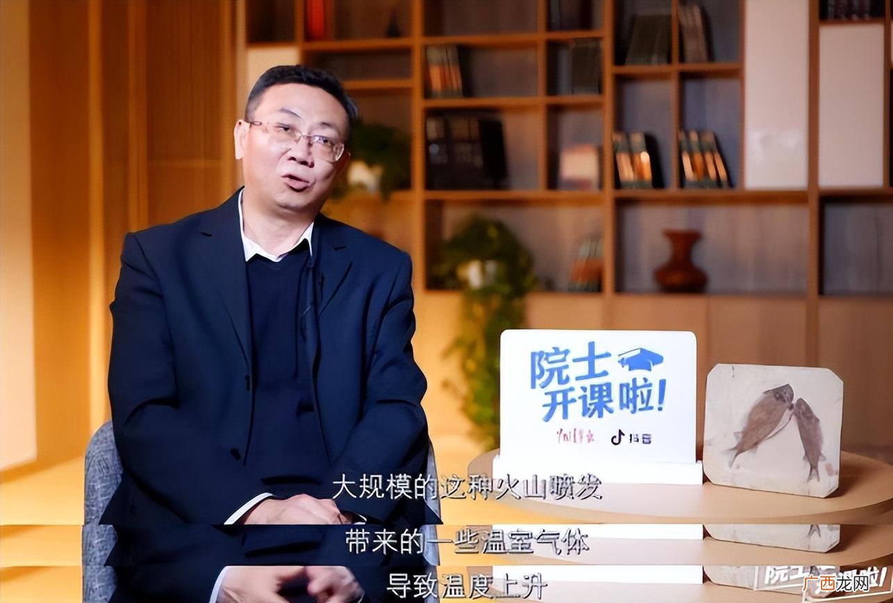 恐龙跟鸡是一个血缘物种吗 恐龙和鸡的关系