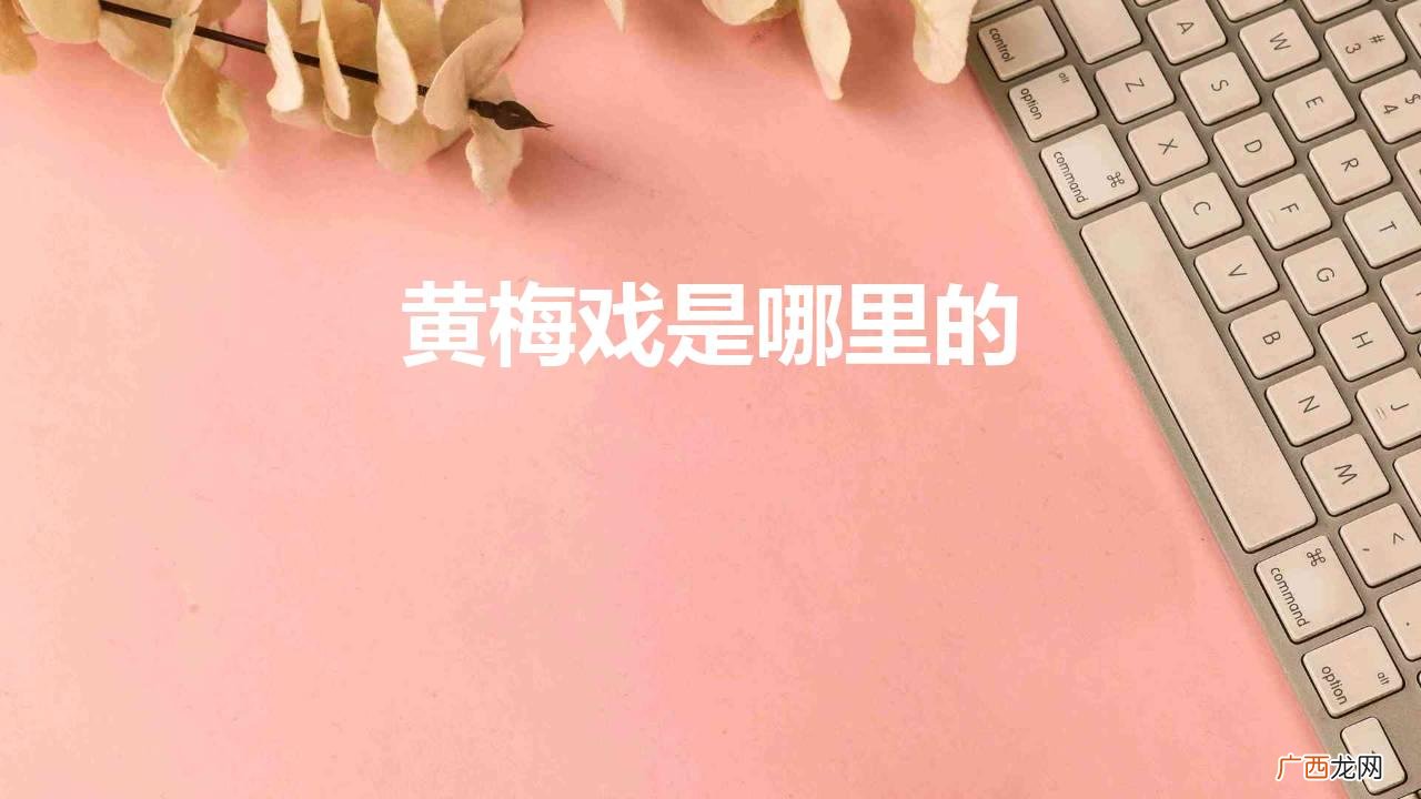 黄梅戏发源地 黄梅戏是哪里的