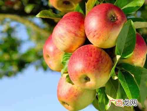 甲亢吃什么水果和蔬菜好 甲亢吃什么水果和蔬菜