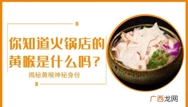 黄喉是什么东西的什么部位 黄喉是什么东西