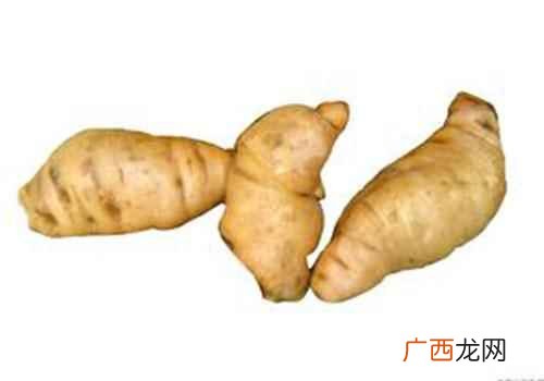 生地麦冬的作用与禁忌 生地的功效与作用及禁忌