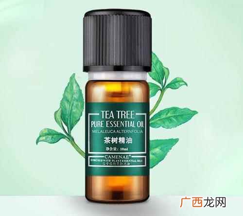 茶树精油的功效与作用医生讲解 茶树精油的功效与作用