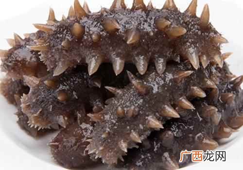 推荐海参食谱海参鲫鱼汤 哺乳期喂奶能吃海参吗,喂奶可以吃海参吗