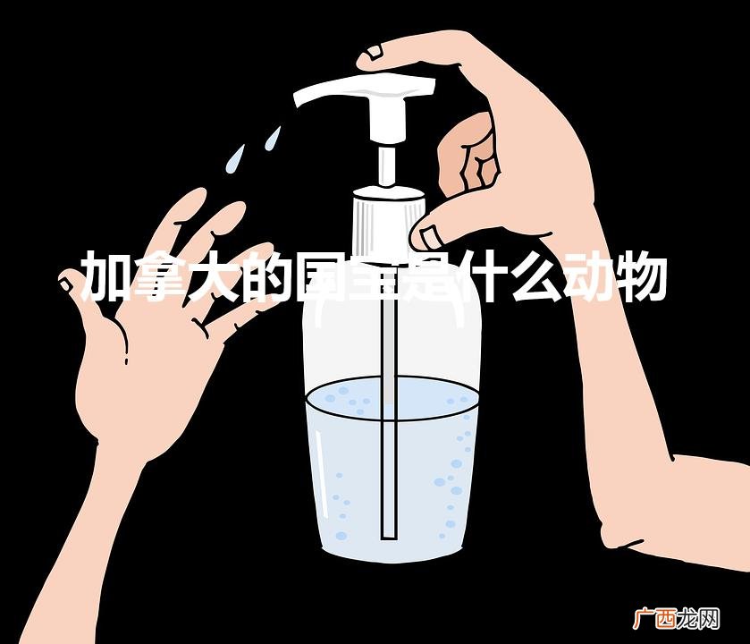 加拿大三大国宝 加拿大的国宝是什么动物