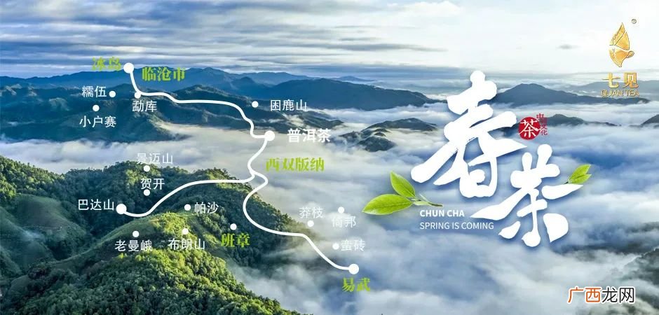 普洱茶的冲泡方法讲解 普洱茶的冲泡方法步骤