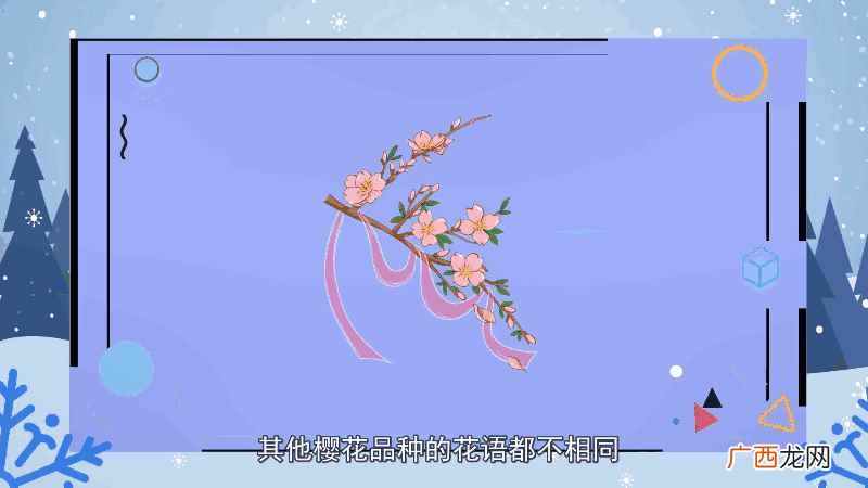 樱花的花语是什么 樱花的花语
