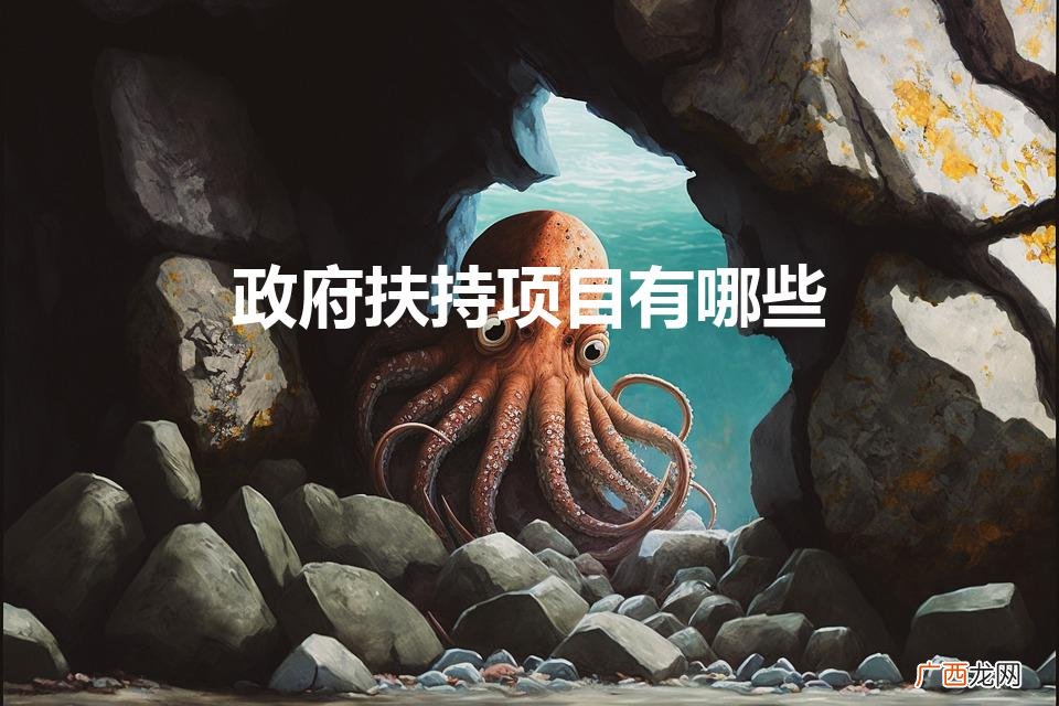 政府扶持项目有哪些（国家扶持项目有哪些)