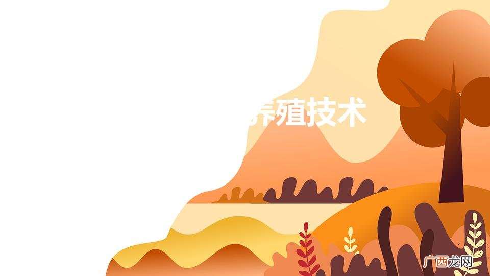 红虫养殖技术 红虫室内养殖技术