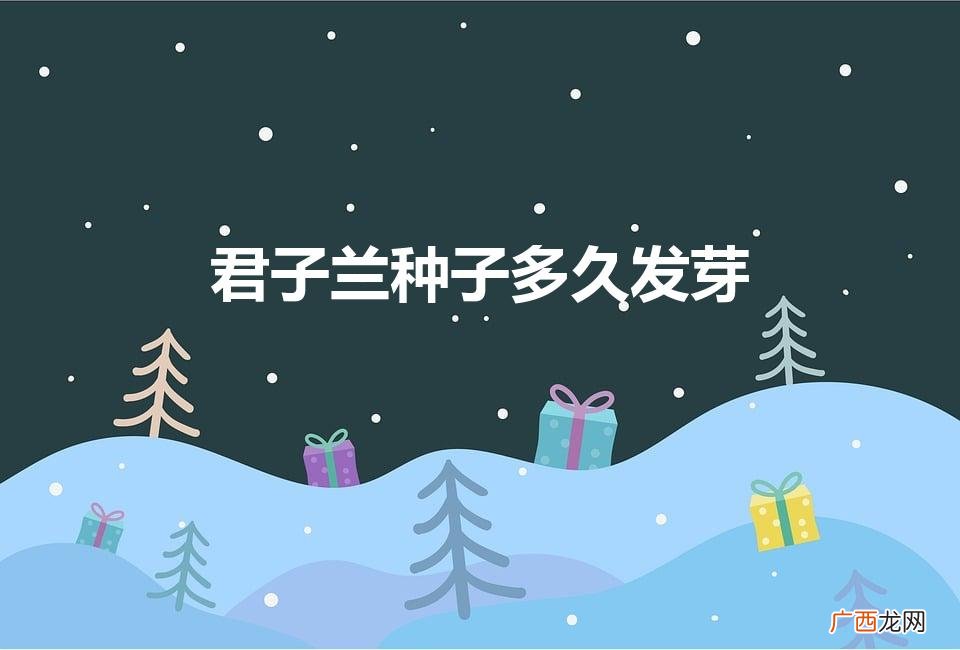 君子兰种子多久发芽（君子兰种子多久发芽出土)
