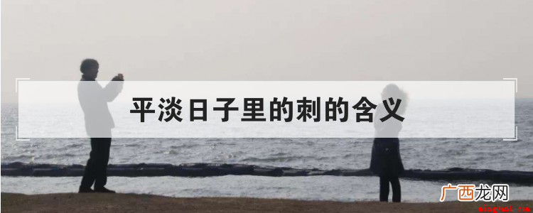 平淡日子里的刺的含义是什么 平淡日子里的刺的含义