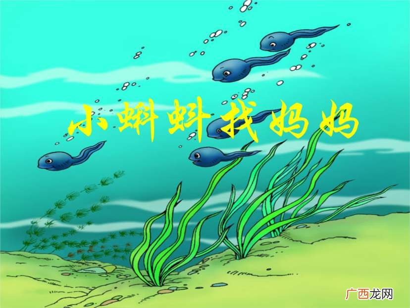 儿童故事小蝌蚪的睡前故事讲解 小蝌蚪找妈妈的故事