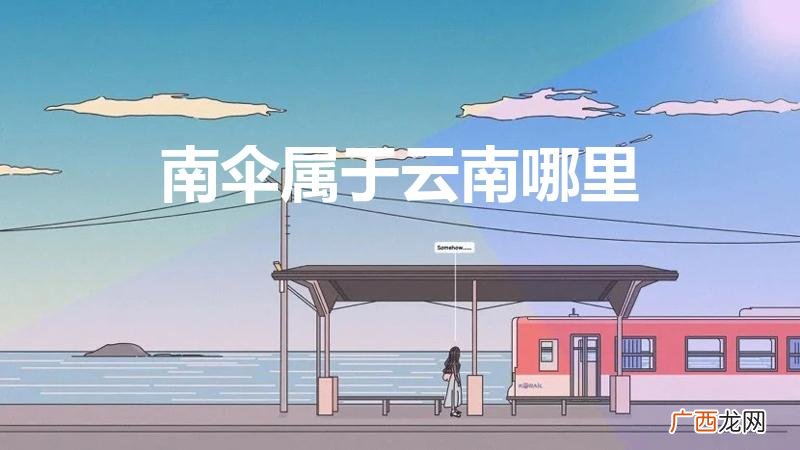 南伞口岸对面是缅甸哪里 南伞属于云南哪里