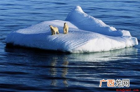 五大洲和七大洋有什么区别 五大洲七大洋是哪些