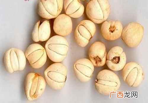 浙贝母的功效与作用和主治 浙贝母的功效与作用