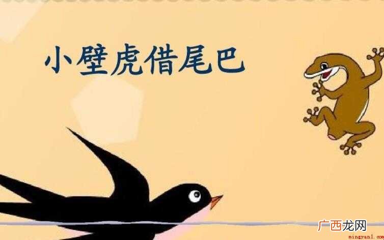 小壁虎借尾巴说明了什么道理 《小壁虎借尾巴》说明了什么道理