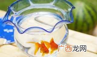 自来水管抽什么意思 鱼缸里的水怎么抽出来