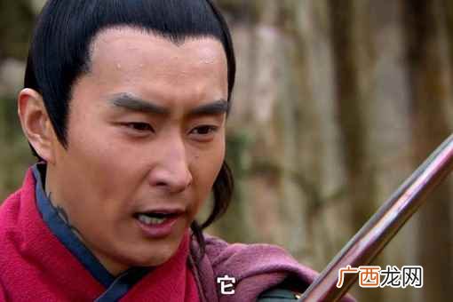 至于杨再兴是杨家将哪位的后人答案是哪位也不是 杨再兴是杨家将的后代吗