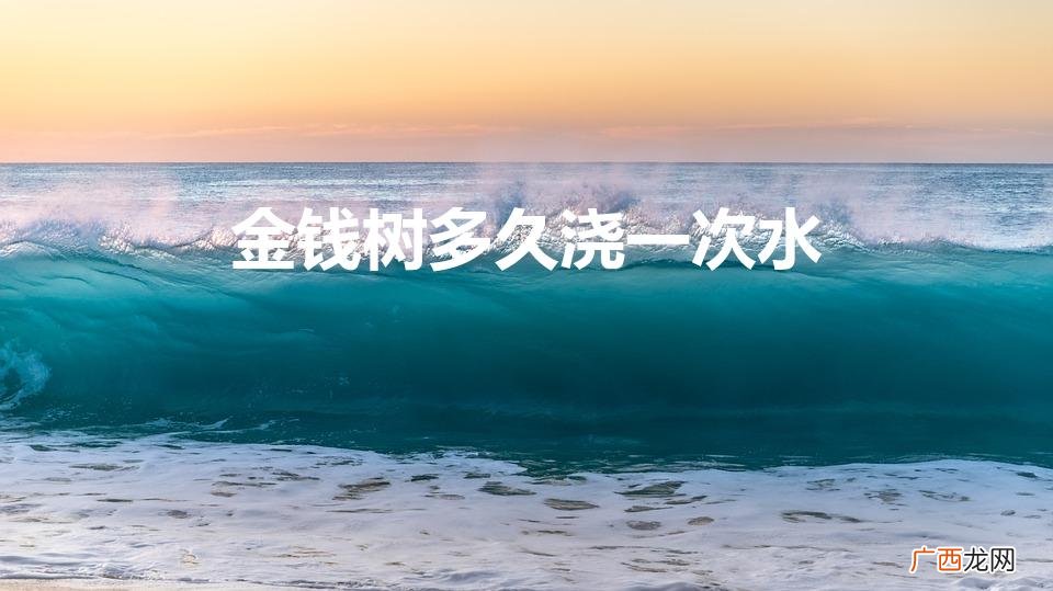 金钱树要多少天浇一次水 金钱树多久浇一次水