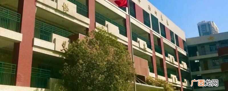 互助彩虹小学在哪里 互助县彩虹小学